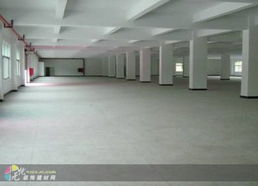 深圳建材市場與西麗工廠裝修 融合獨特創意與專業建材，打造卓越工業空間